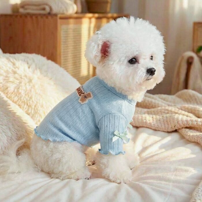 Product Name: Pet Memorial Necklace
