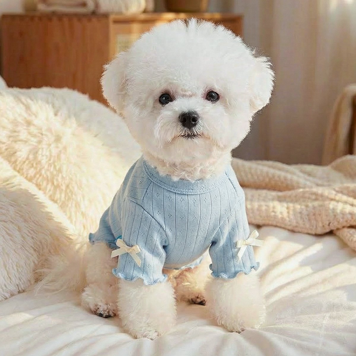 Product Name: Pet Memorial Necklace