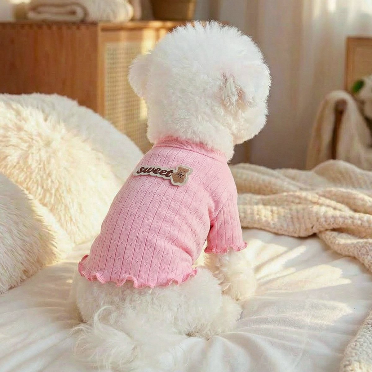 Product Name: Pet Memorial Necklace