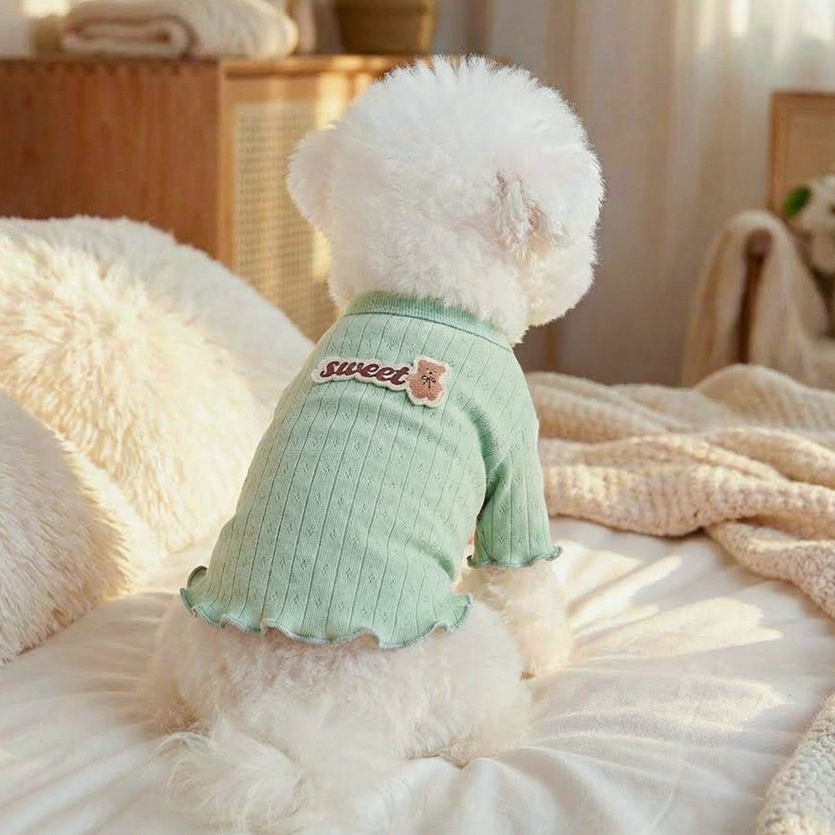 Product Name: Pet Memorial Necklace