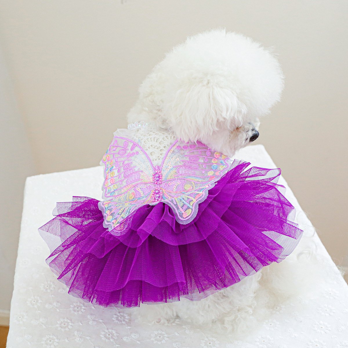Product Name: Pet Tulle Dress for Small Dogs & Cats,...