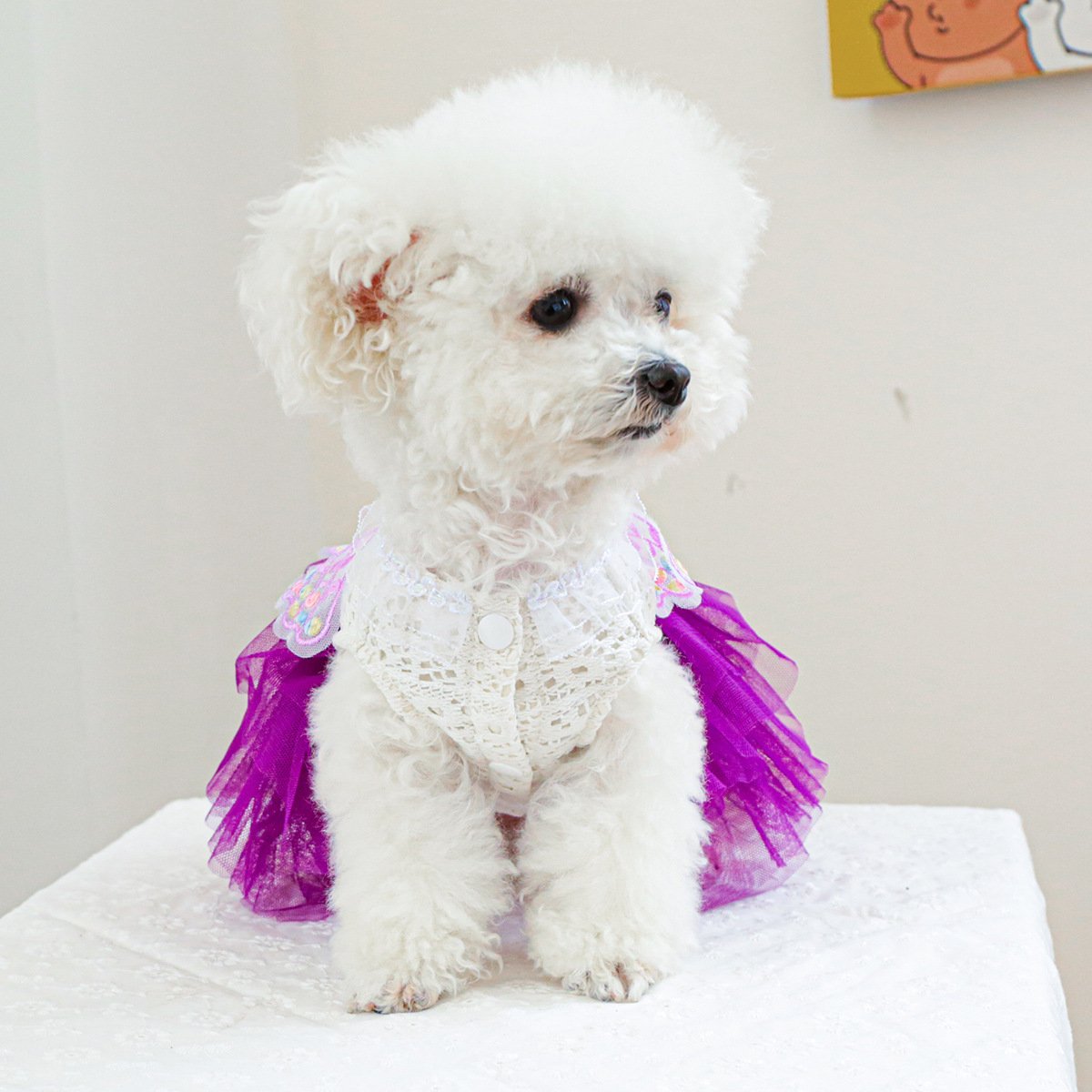 Product Name: Pet Tulle Dress for Small Dogs & Cats,...