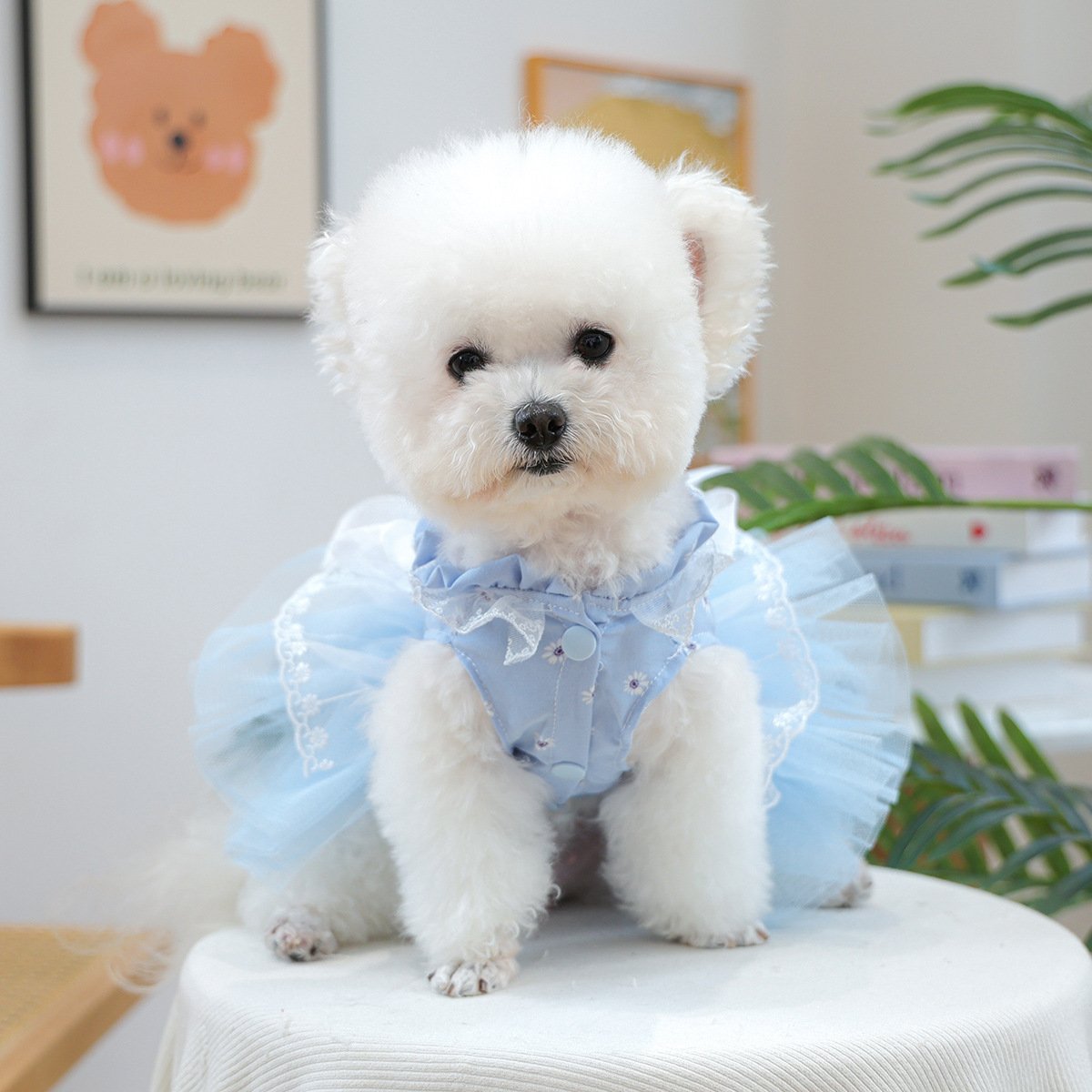 Product Name: Pet Tulle Dress for Small Dogs & Cats,...