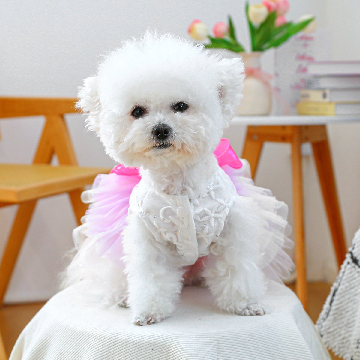 Product Name: Pet Tulle Dress for Small Dogs & Cats,...