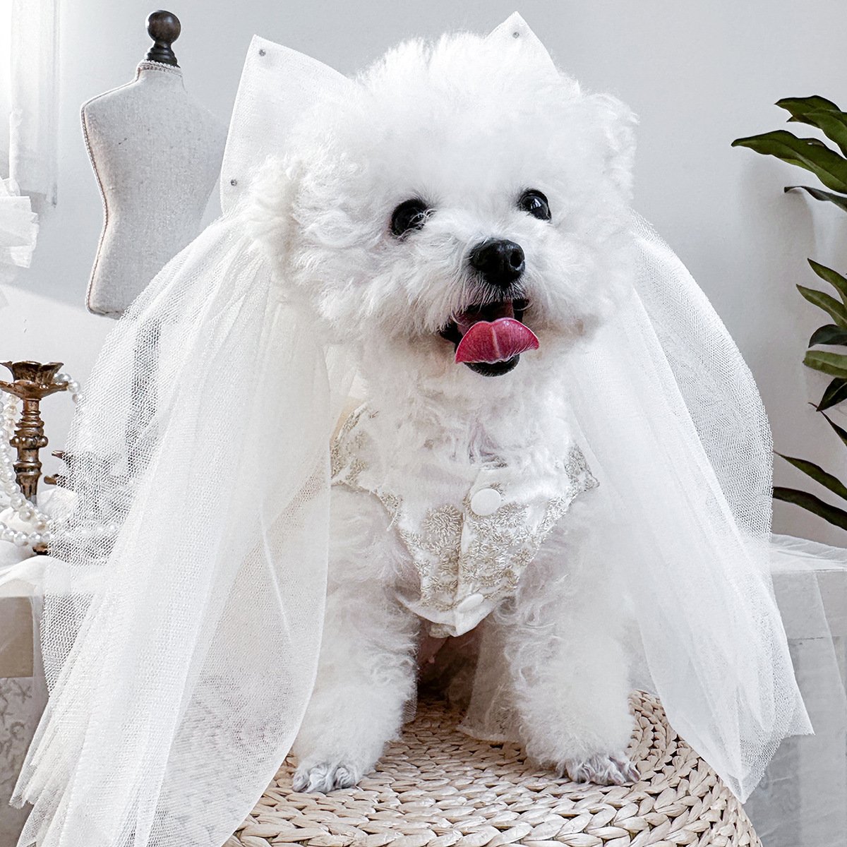 Product Name: PETCIRCLE Small Dog Wedding Veil & Apparel