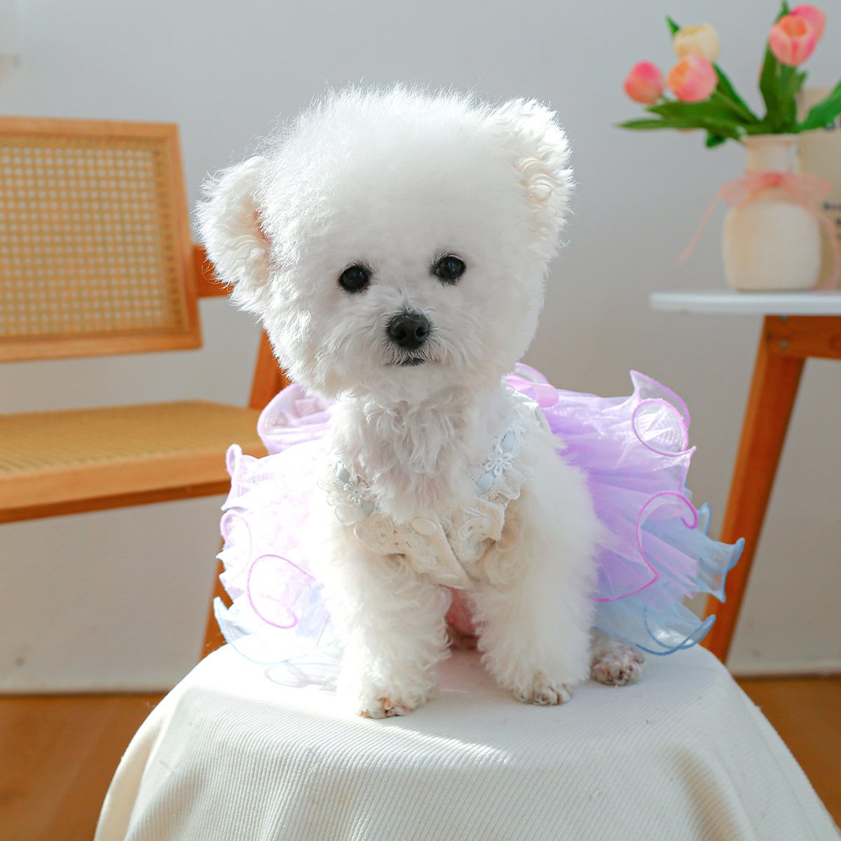 Product Name: Pet Dog Tulle Dress Starry Dream Tutu for...