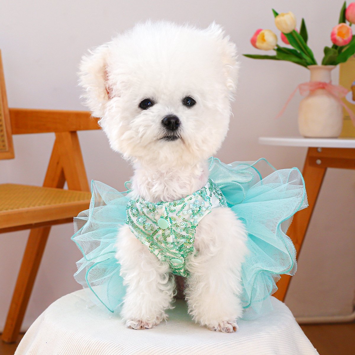 Product Name: Pet Dog Tulle Dress Starry Dream Tutu for...