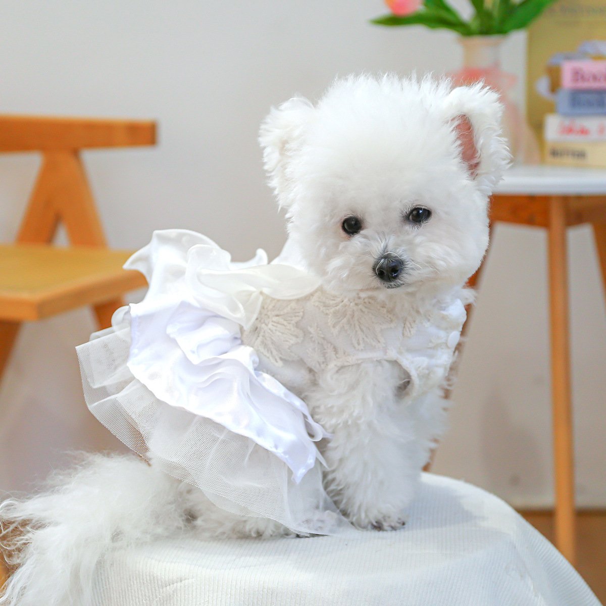 Product Name: Pet Dog Tulle Dress Starry Dream Tutu for...