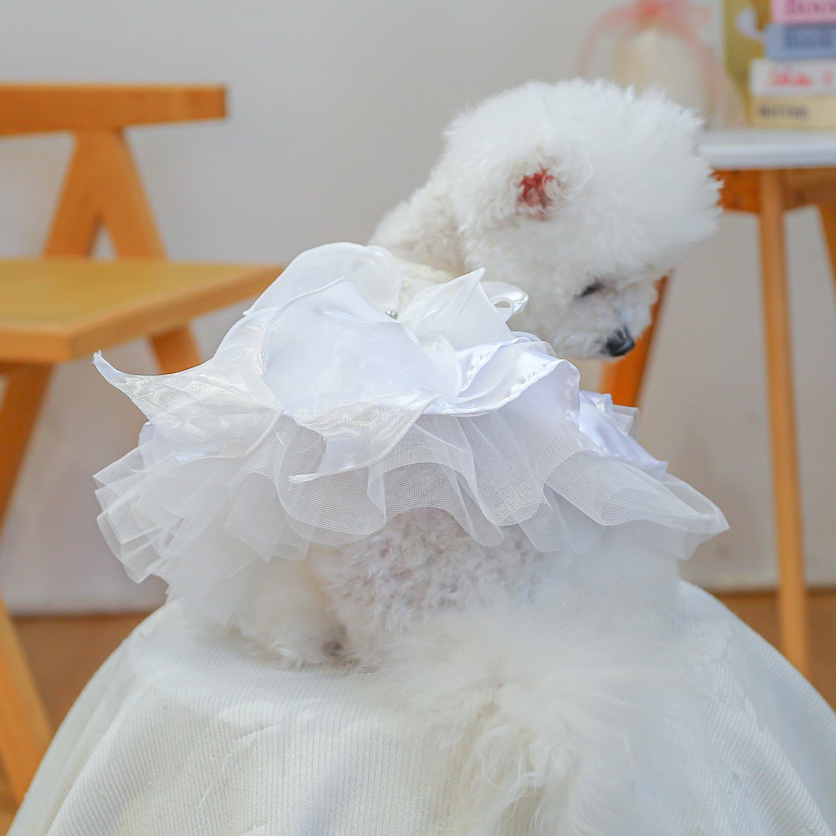 Product Name: Pet Dog Tulle Dress Starry Dream Tutu for...