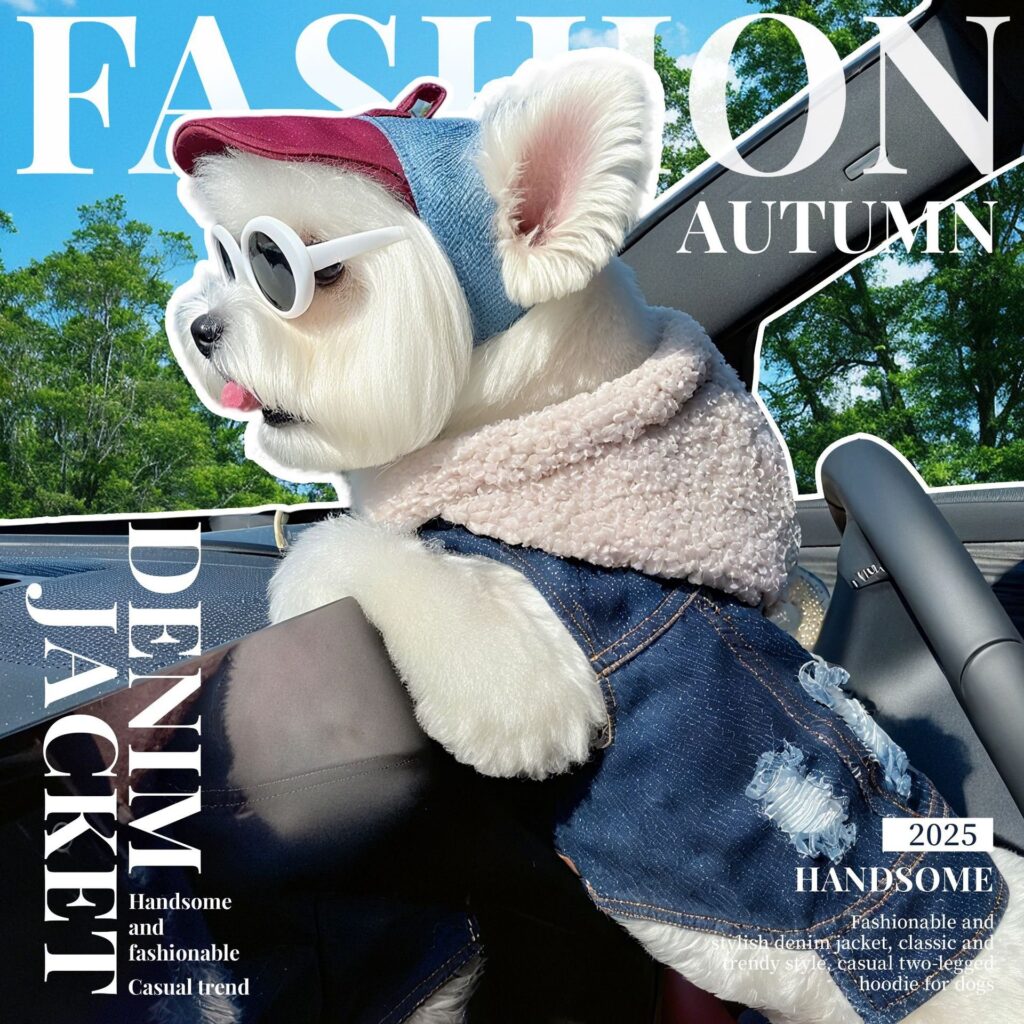 Rock Style Denim Pet Outfit for Dogs & Cats