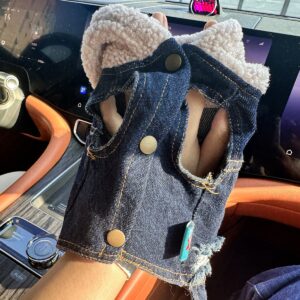 Pet Hoodie for Dogs and Cats, Rock Denim Style