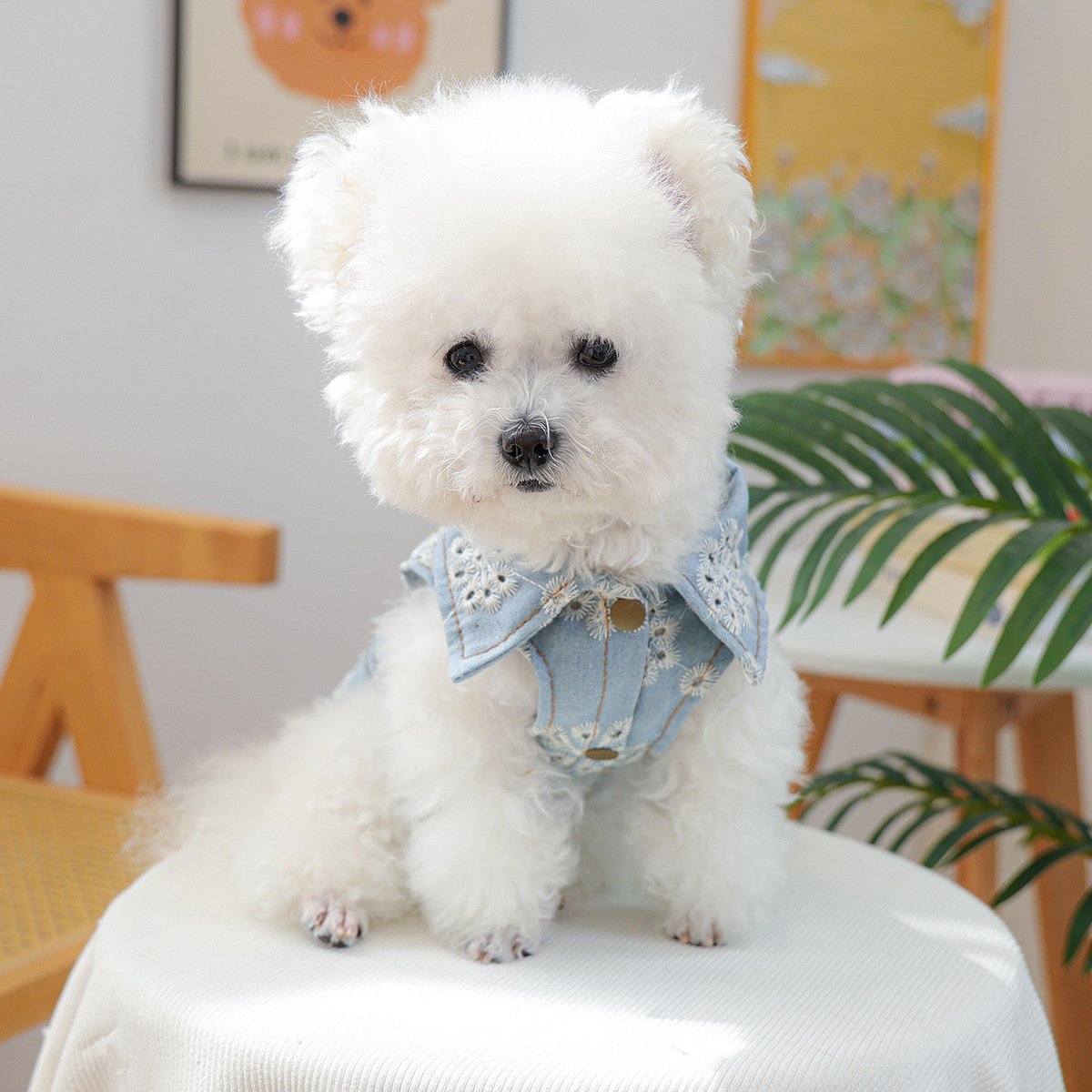 Product Name: Pet Hoodie for Dogs and Cats, Rock Denim Style
