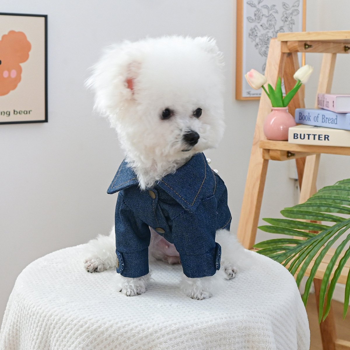Product Name: Pet Hoodie for Dogs and Cats, Rock Denim Style