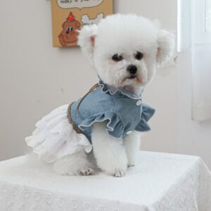 Pet Circle Dog & Cat Clothes Modern Texas