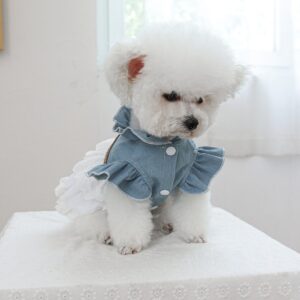 Pet Circle Dog & Cat Clothes Modern Texas