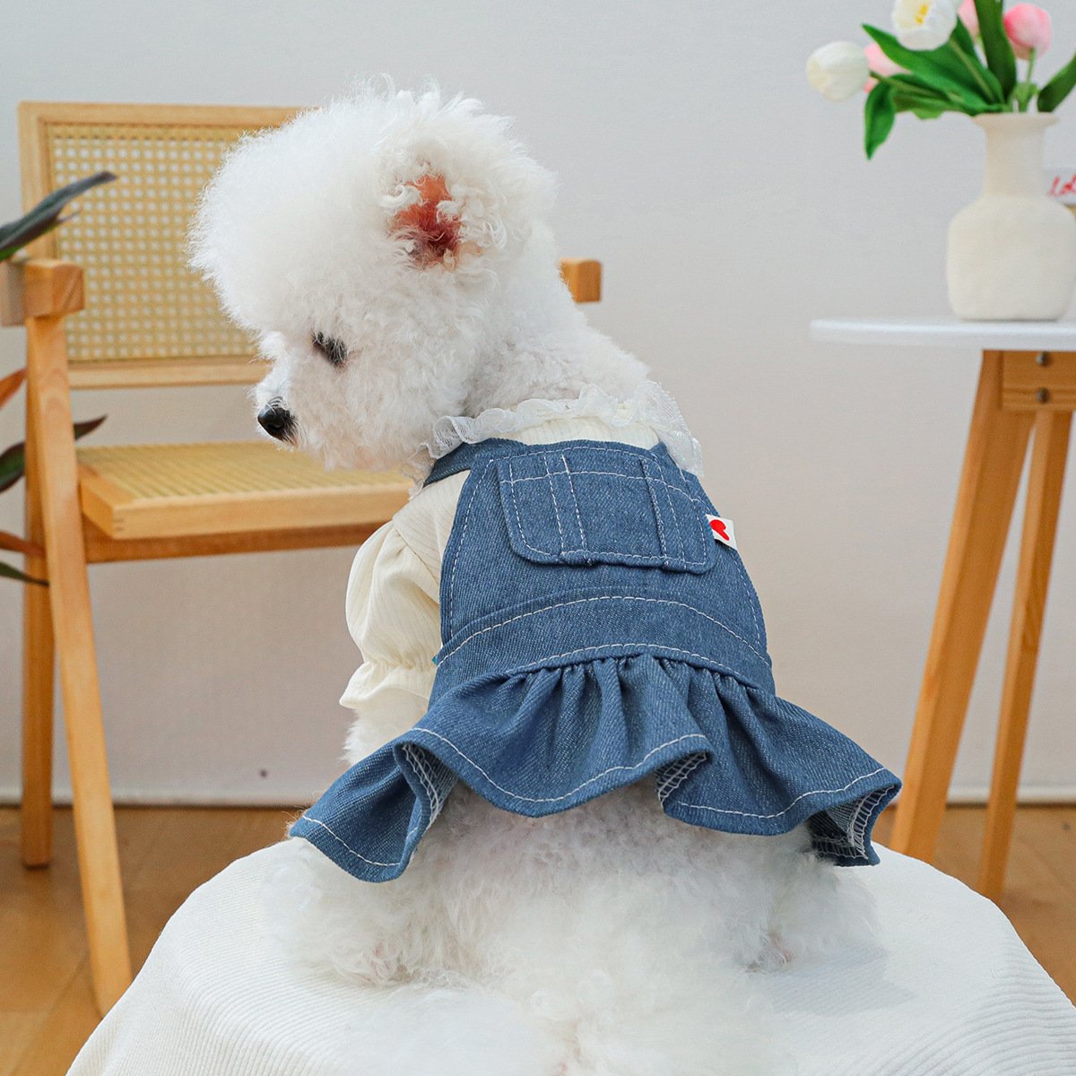 Product Name: Pet Circle Dog & Cat Clothes Modern Texas...