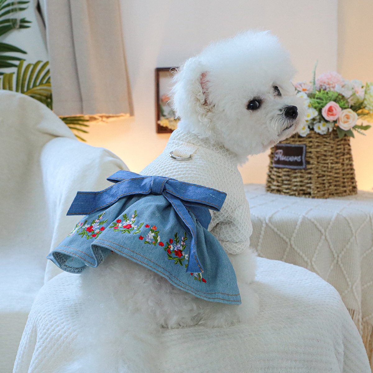 Product Name: Pet Circle Dog & Cat Clothes Modern Texas...