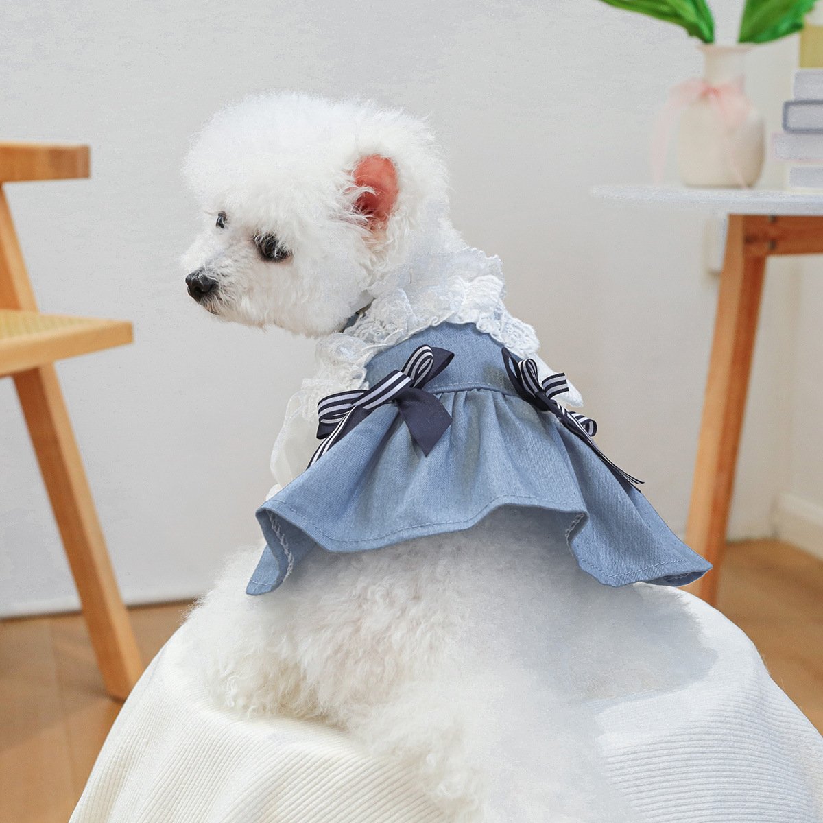 Product Name: Pet Circle Dog & Cat Clothes Modern Texas...