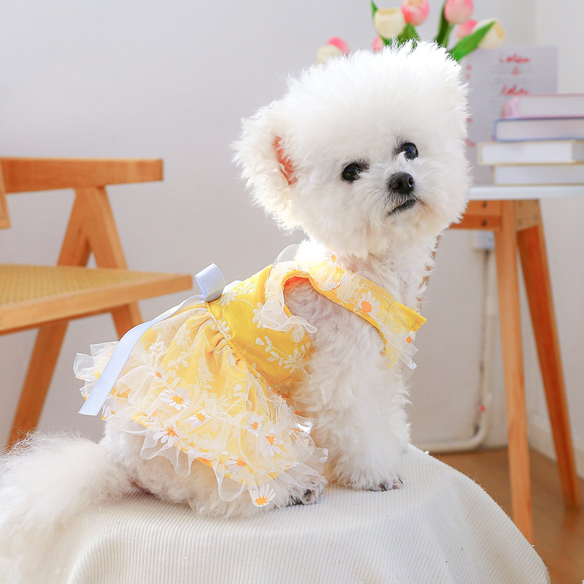 Product Name: PETCIRCLE Small Dog Summer Daisy Strap Dress
