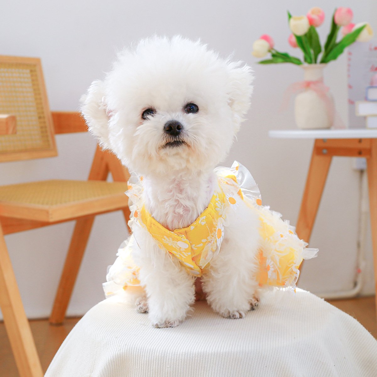 Product Name: PETCIRCLE Small Dog Summer Daisy Strap Dress