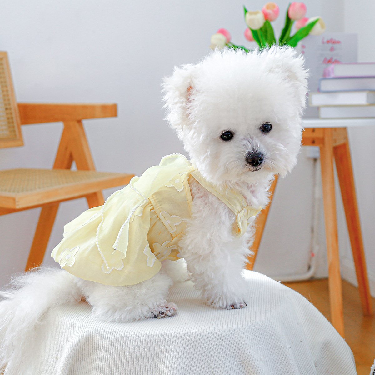 Product Name: PETCIRCLE Small Dog Summer Daisy Strap Dress