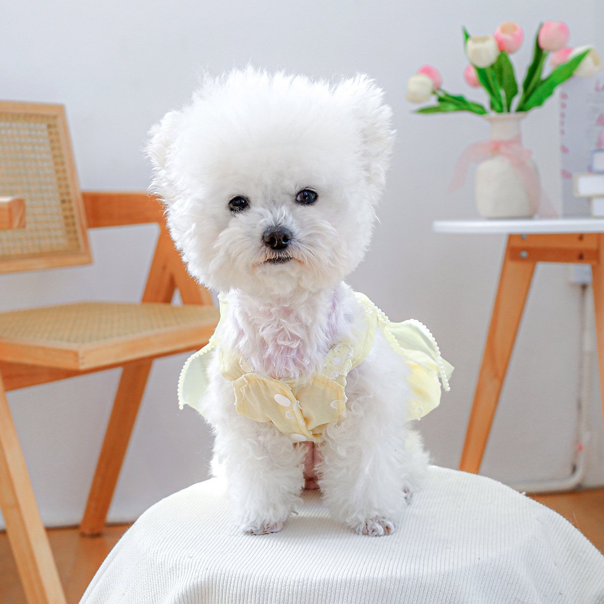 Product Name: PETCIRCLE Small Dog Summer Daisy Strap Dress