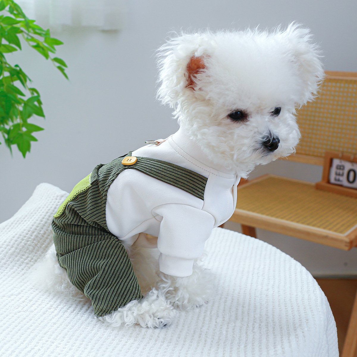Product Name: PETCIRCLE Dog Dungarees Four-Leg Outfit