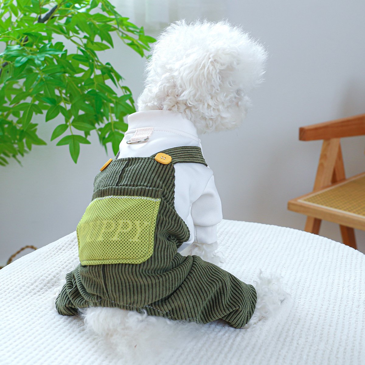 Product Name: PETCIRCLE Dog Dungarees Four-Leg Outfit