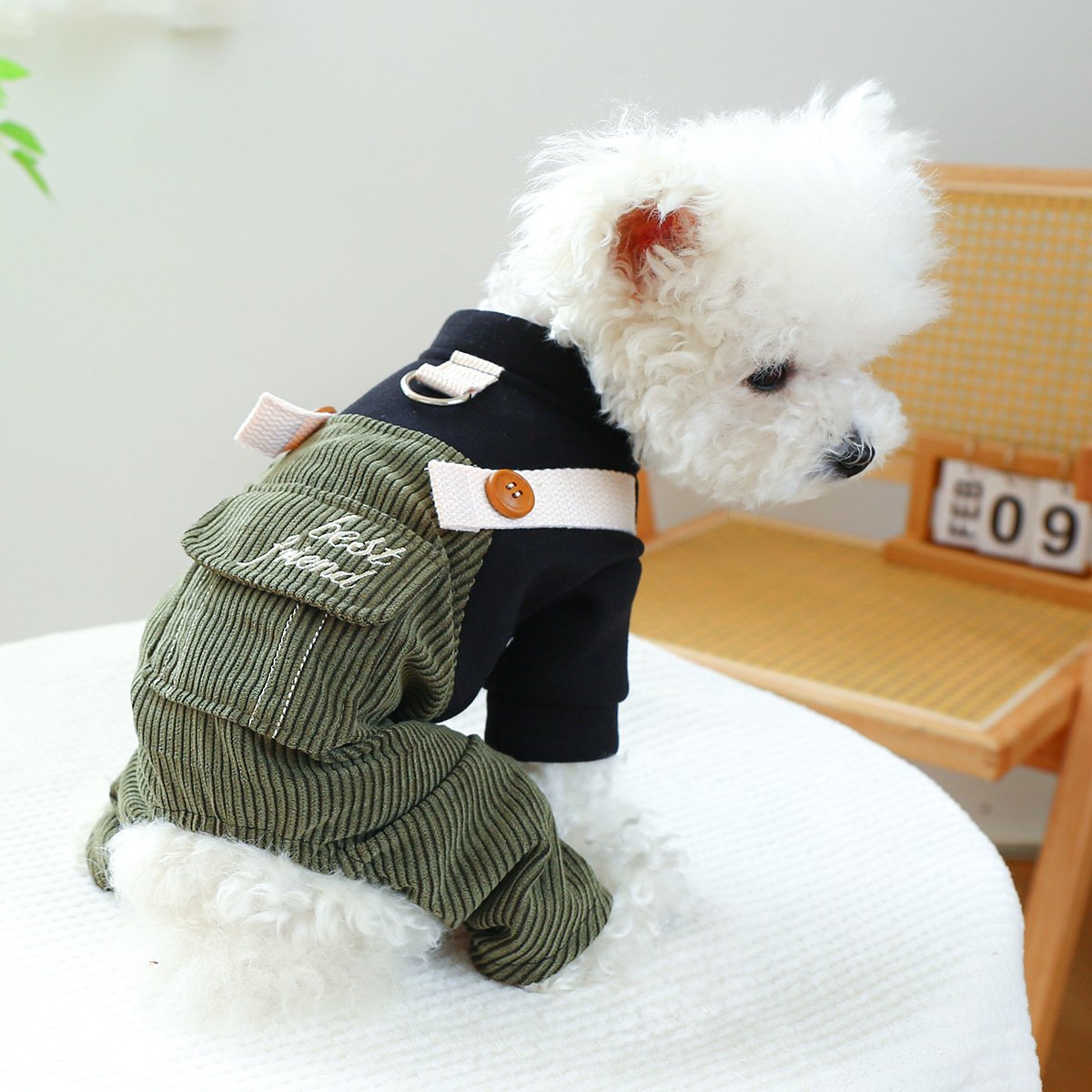 Product Name: PETCIRCLE Dog Dungarees Four-Leg Outfit