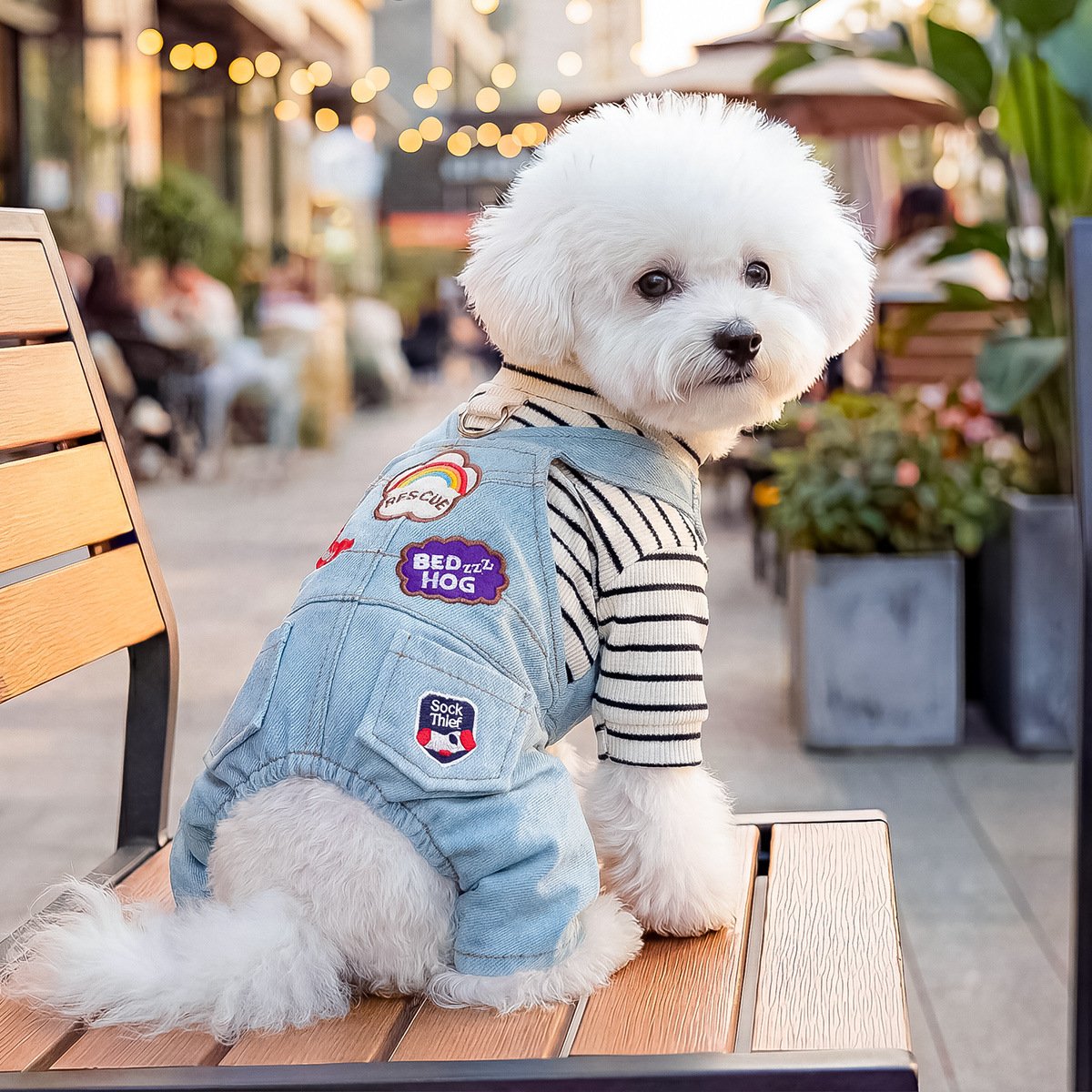 Product Name: PETCIRCLE Dog Dungarees Four-Leg Outfit