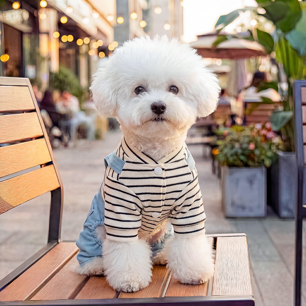 Product Name: PETCIRCLE Dog Dungarees Four-Leg Outfit
