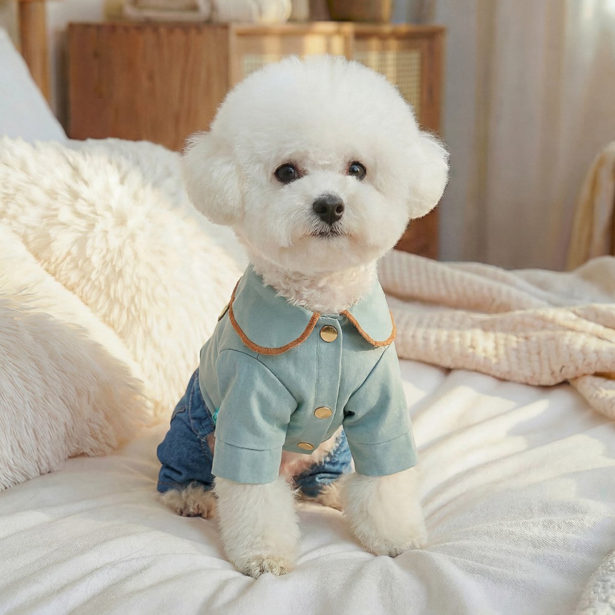 Product Name: PETCIRCLE Dog Dungarees Four-Leg Outfit