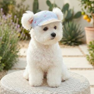 Pet Sun Hat Baseball Cap for Dogs & Cats