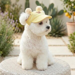 Pet Sun Hat Baseball Cap for Dogs & Cats