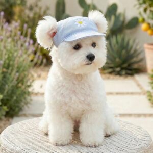 Pet Sun Hat Baseball Cap for Dogs & Cats