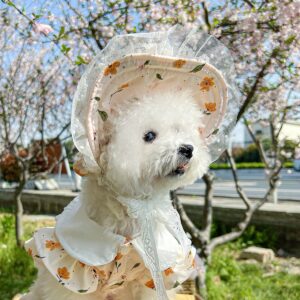 Pet Sun Hat Baseball Cap for Dogs & Cats