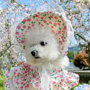 Pet Sun Hat Baseball Cap for Dogs & Cats