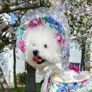 Pet Sun Hat Baseball Cap for Dogs & Cats