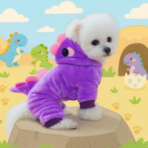 Pet Hoodie Fleece-Lined Warm Dog & Cat Outfit Fall & Winter