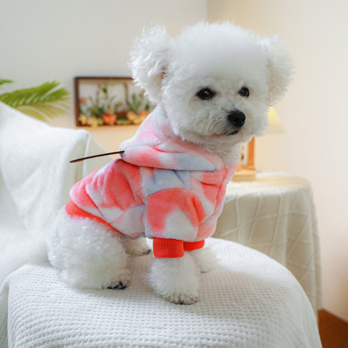 Pet Hoodie Fleece-Lined Warm Dog & Cat Outfit Fall & Winter