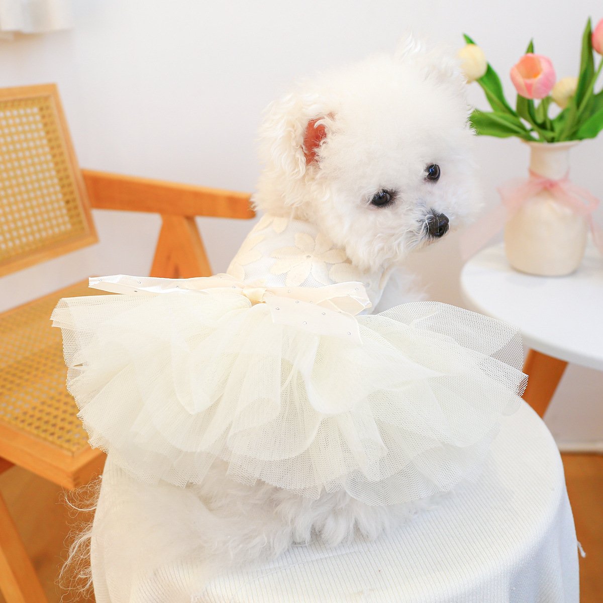 Pet Memorial Tutu Dress for Dogs and Cats