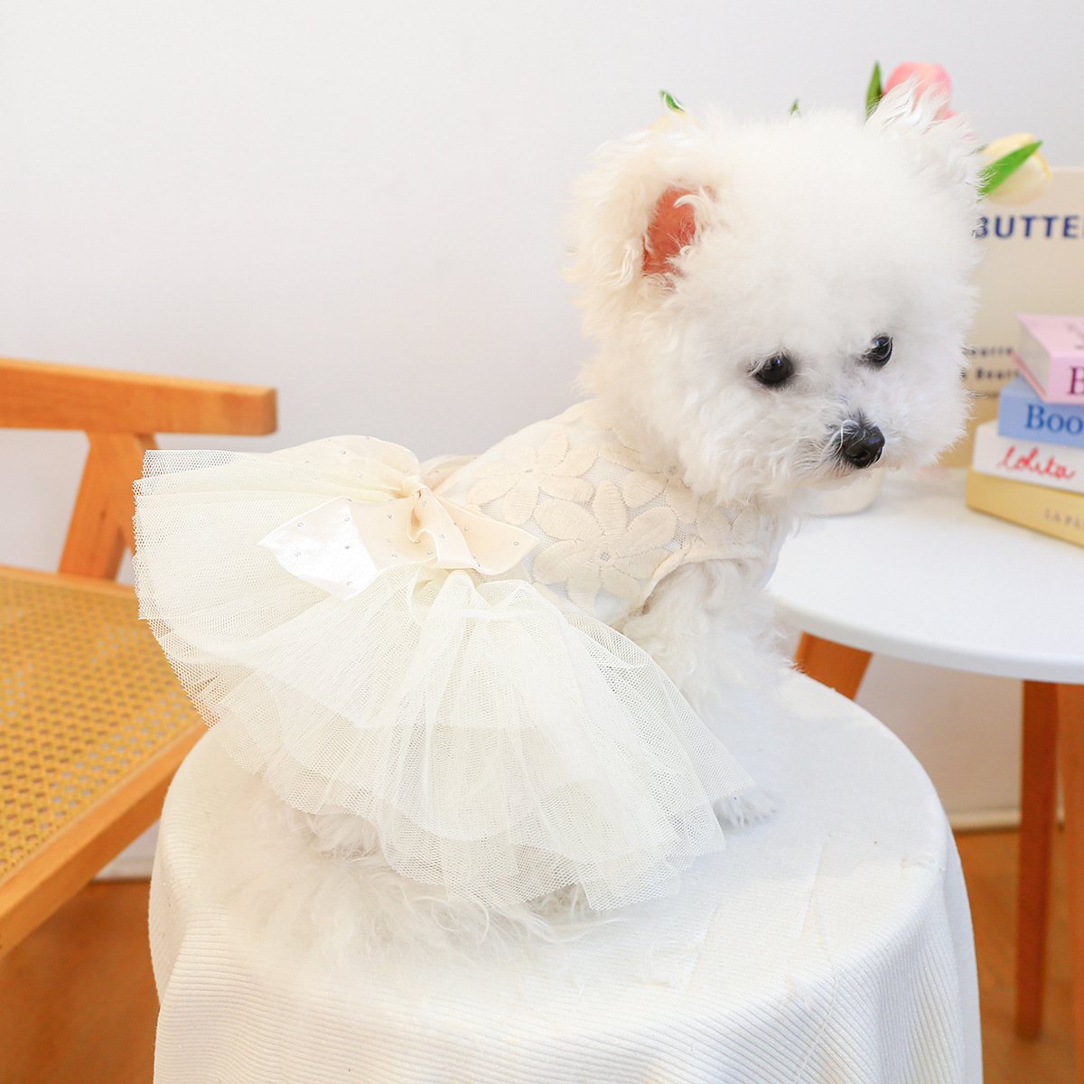 Pet Memorial Tutu Dress for Dogs and Cats