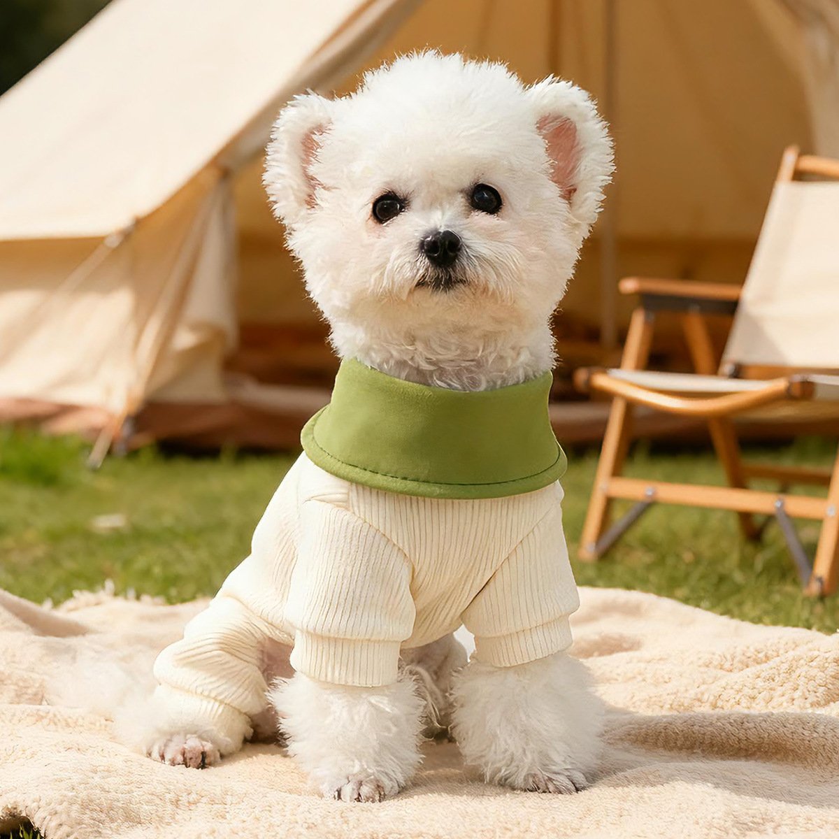 Product Name: Pet Hoodie for Small Dogs, Cute Monster...
