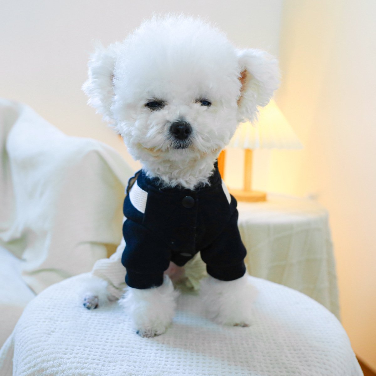 Product Name: Pet Hoodie for Small Dogs, Cute Monster...
