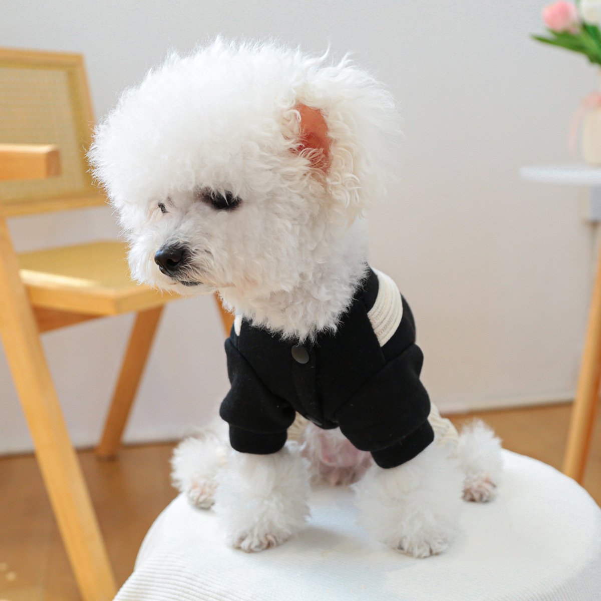 PETCIRCLE Dog Dungarees with Heart Chick