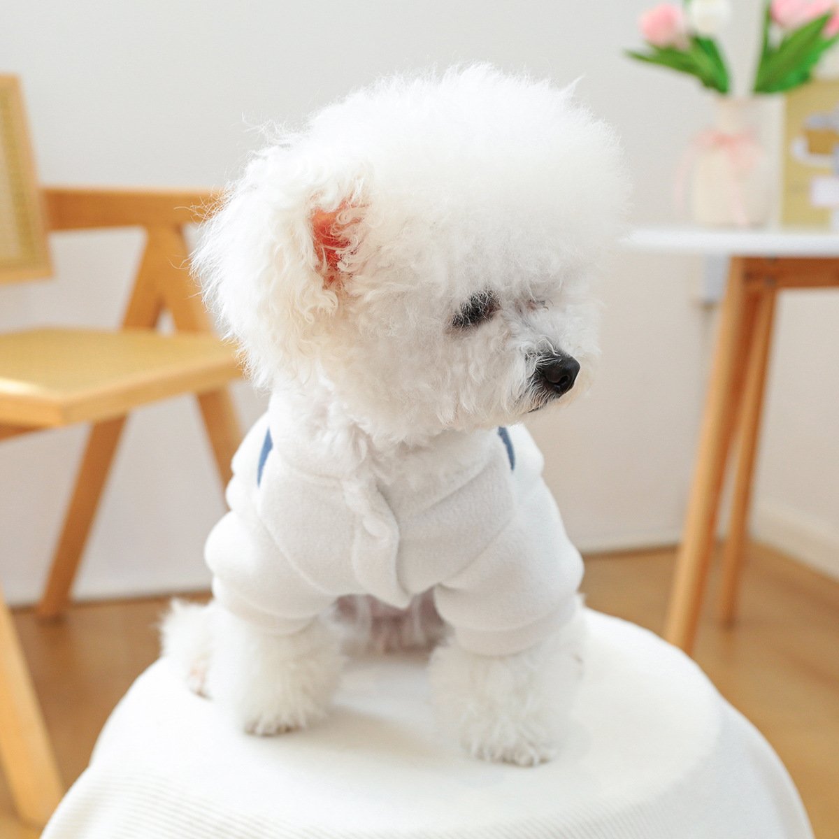 PETCIRCLE Dog Dungarees with Heart Chick