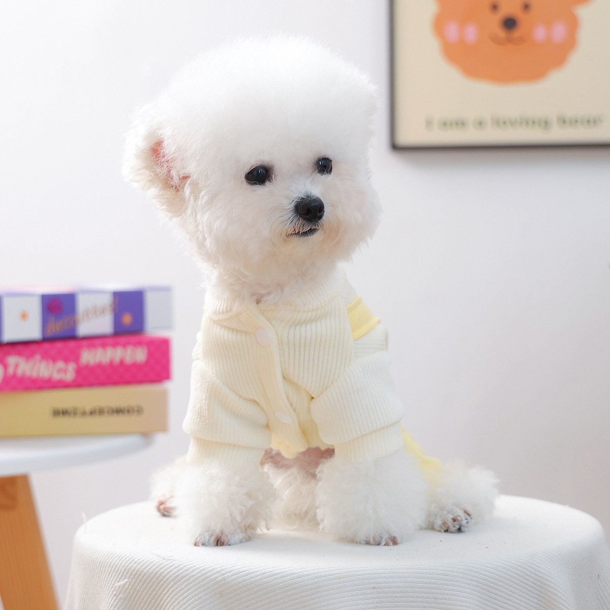 PETCIRCLE Dog Dungarees with Heart Chick