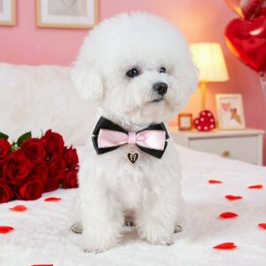 Pet Cat Dog Bow Tie PU Collar for Small