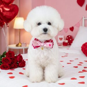 Pet Cat Dog Bow Tie PU Collar for Small