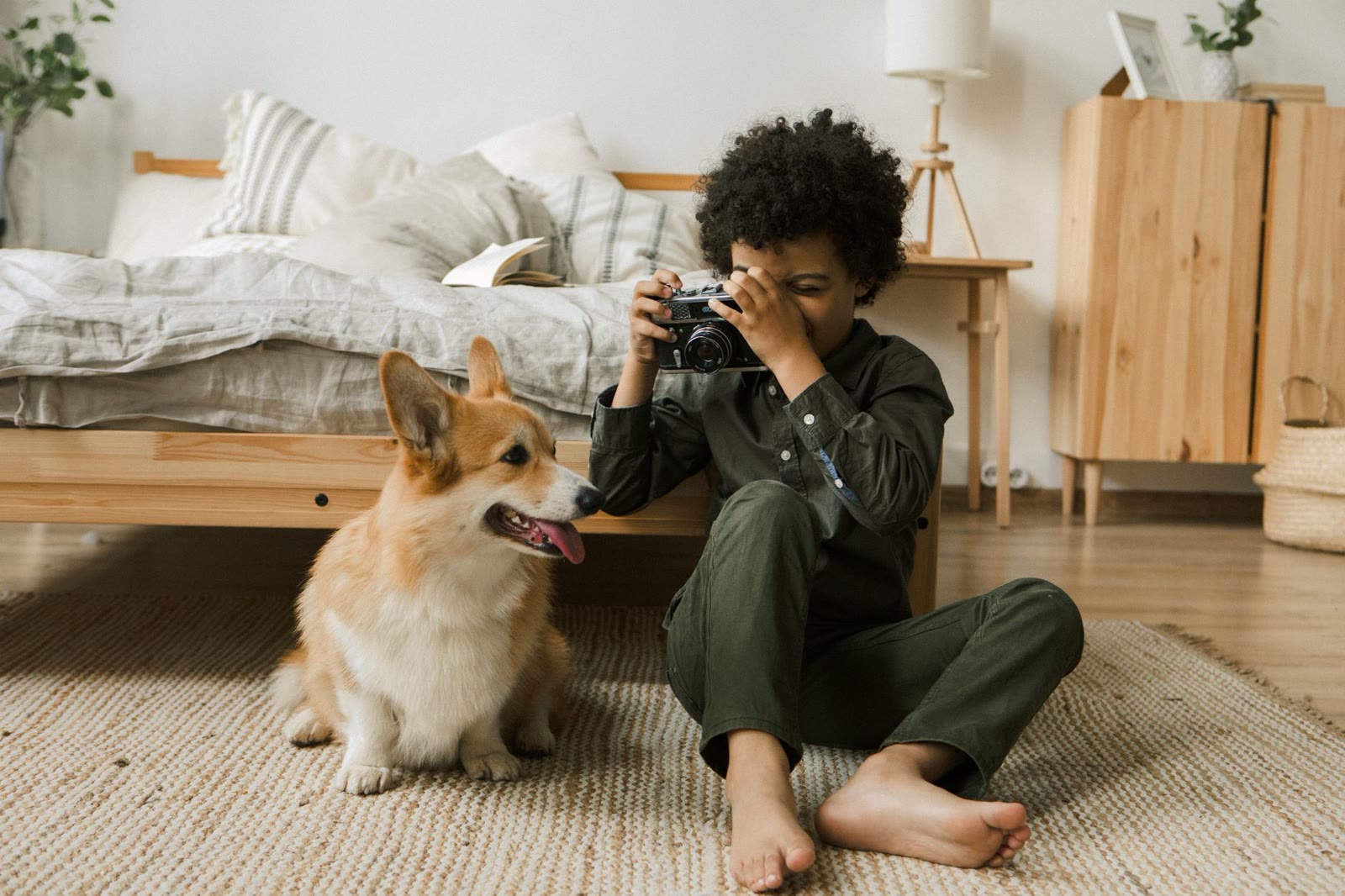 A child photographing a corgi with a camera in a cosy bedroom
